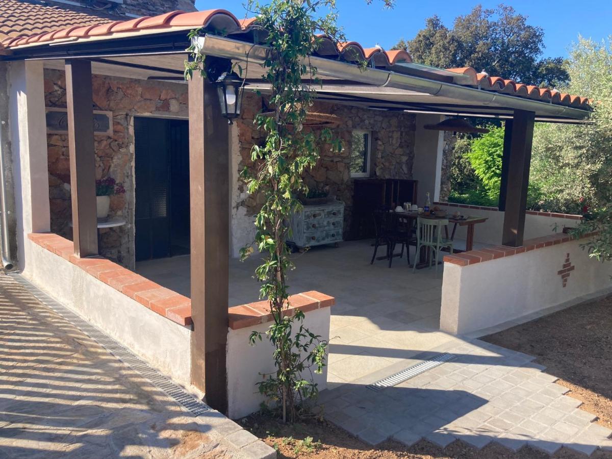 Mas Picagnol Apartment Oms Екстериор снимка