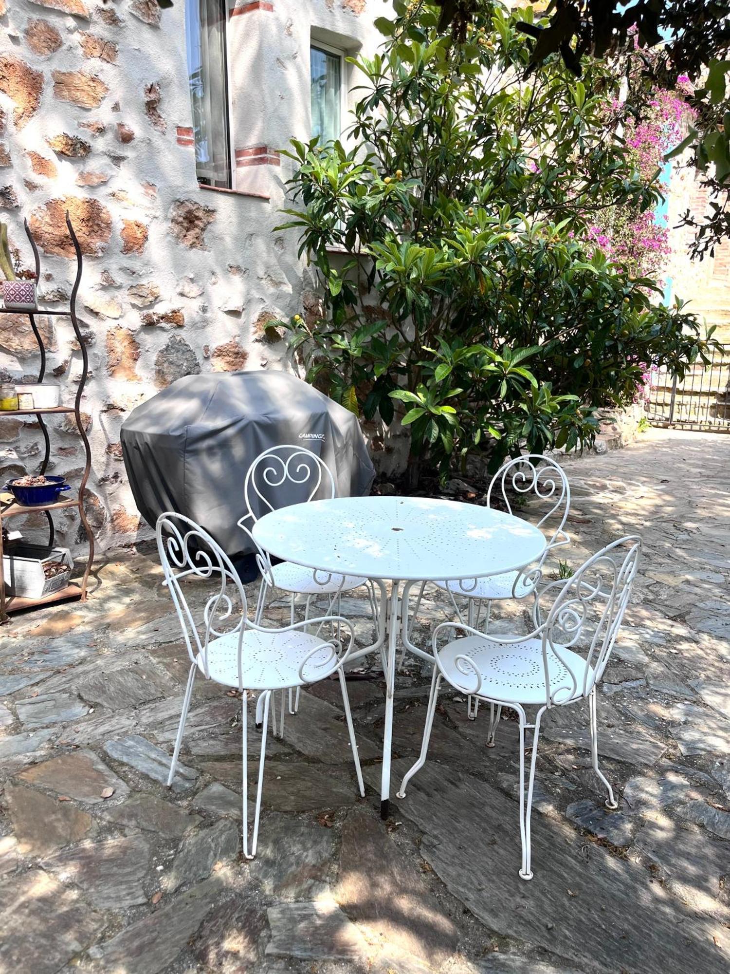Mas Picagnol Apartment Oms Екстериор снимка